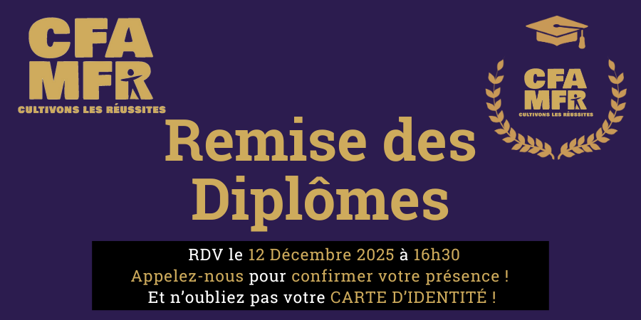 remise de diplomes