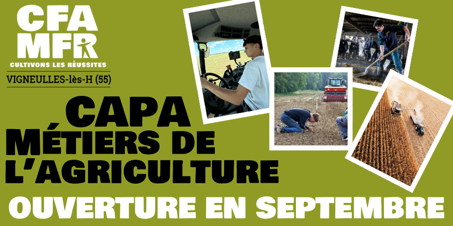 Actu site web ouverte CAPA